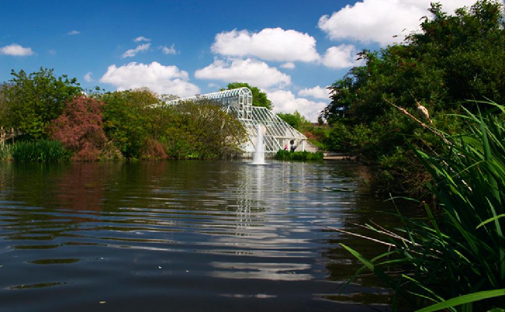 Kew Gardens Pond